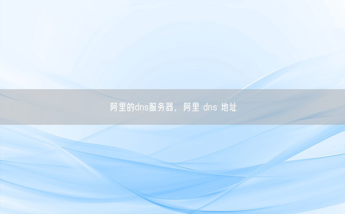 阿里的dns服务器，阿里 dns 地址(图1)