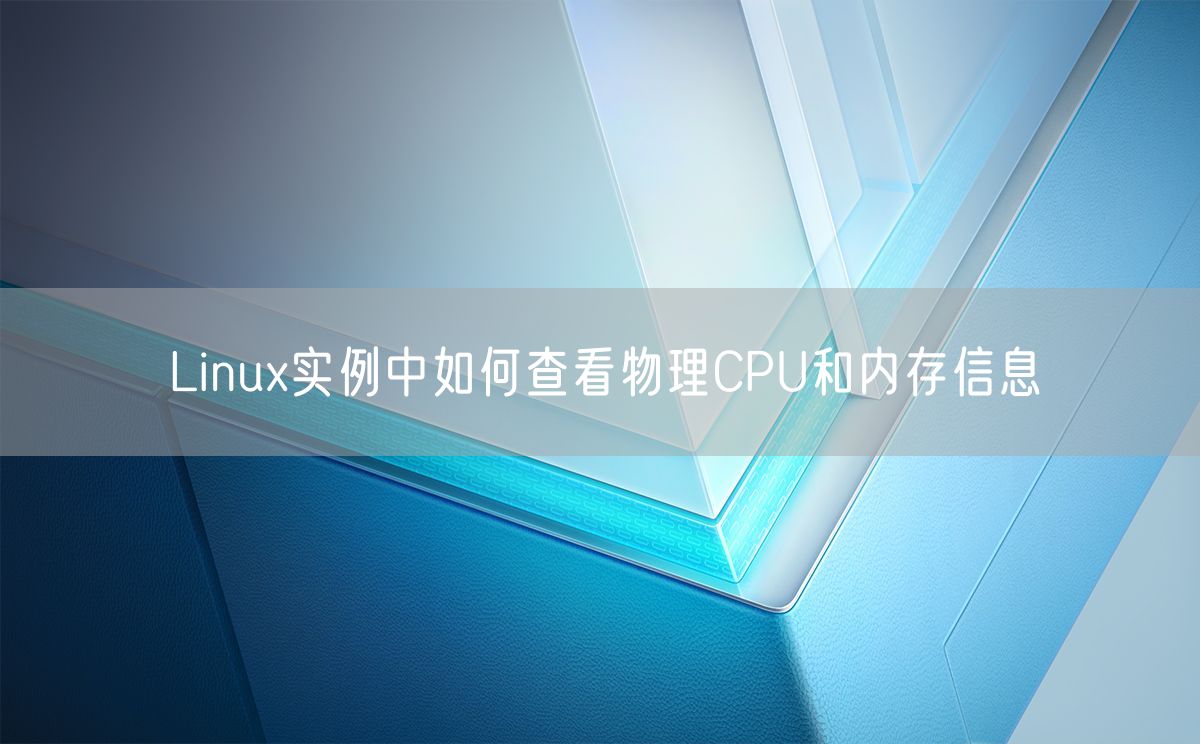 Linux实例中如何查看物理CPU和内存信息