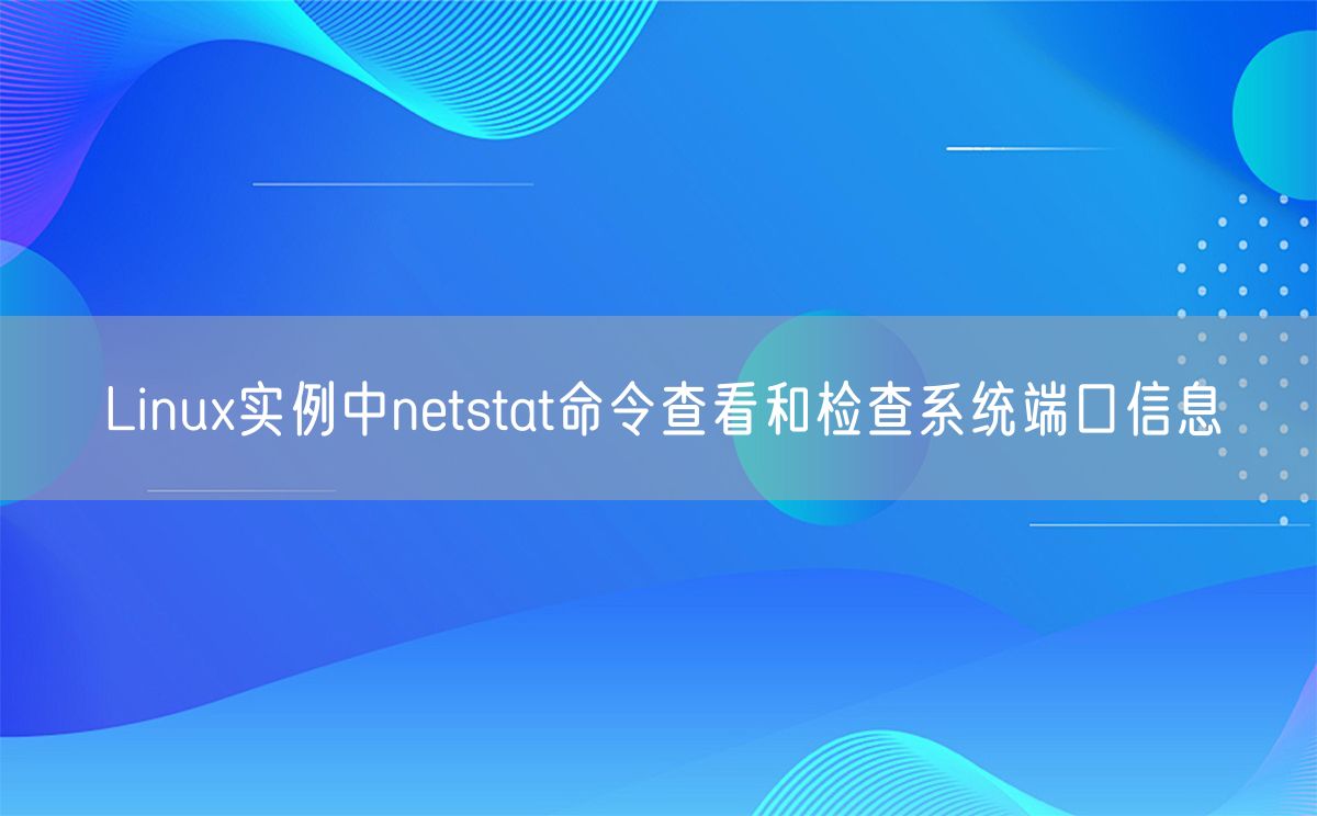 Linux实例中netstat命令查看和检查系统端口信息(图1)