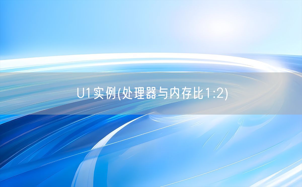 U1实例(处理器与内存比1:2)