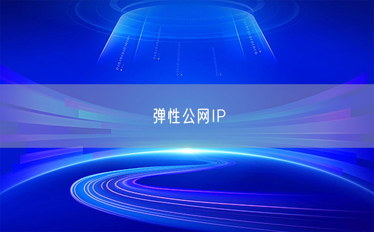 弹性公网IP