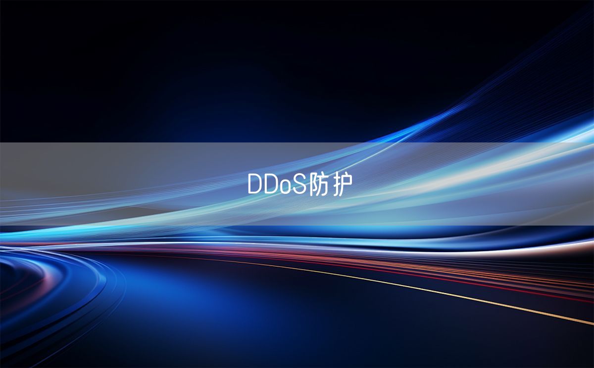 DDoS防护