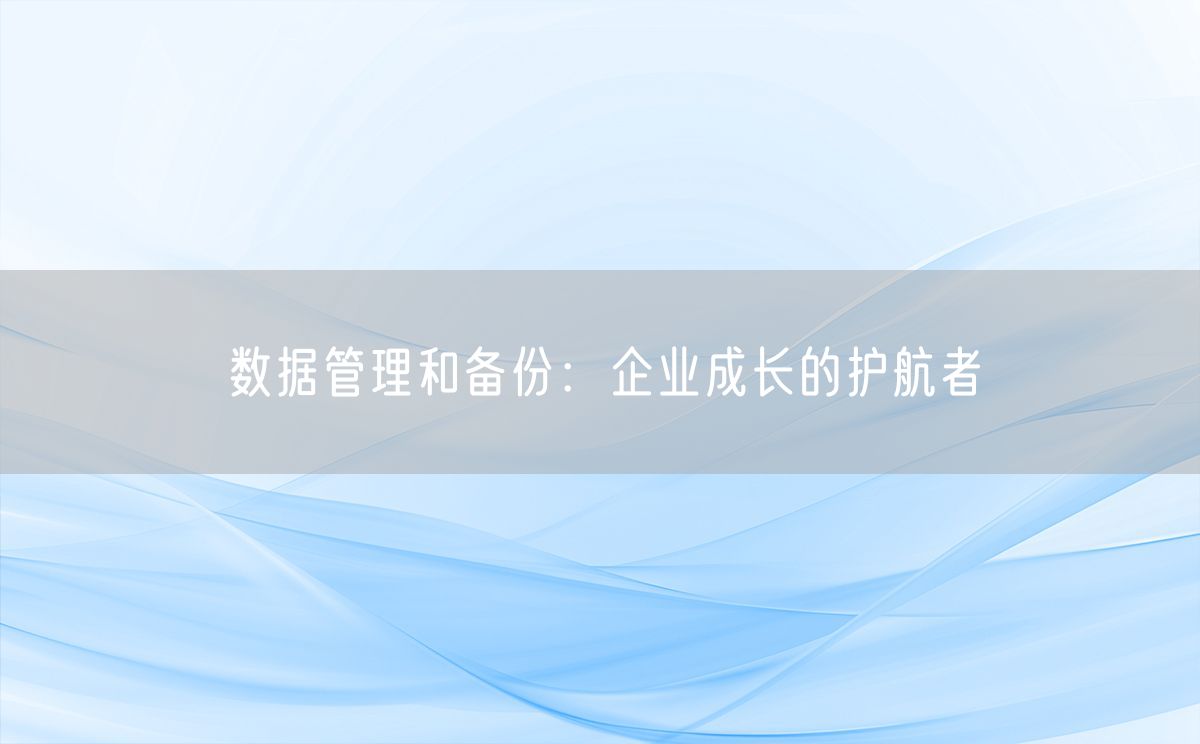 数据管理和备份：企业成长的护航者(图1)