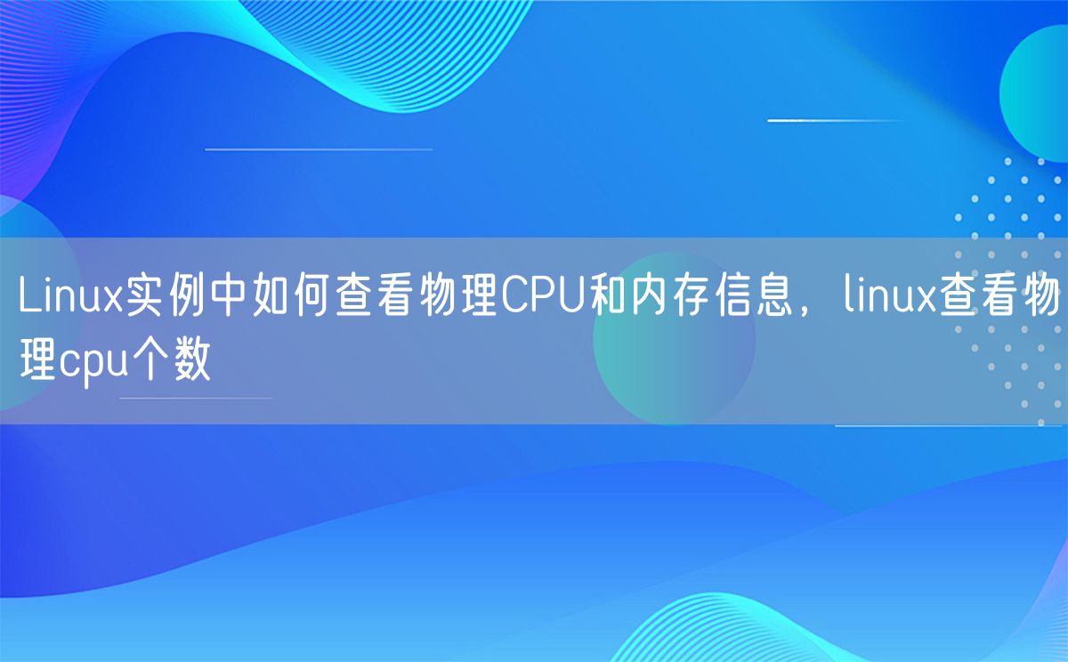 Linux实例中如何查看物理CPU和内存信息，linux查看物理cpu个数