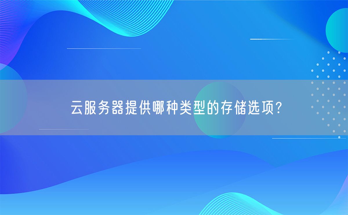 云服务器提供哪种类型的存储选项？