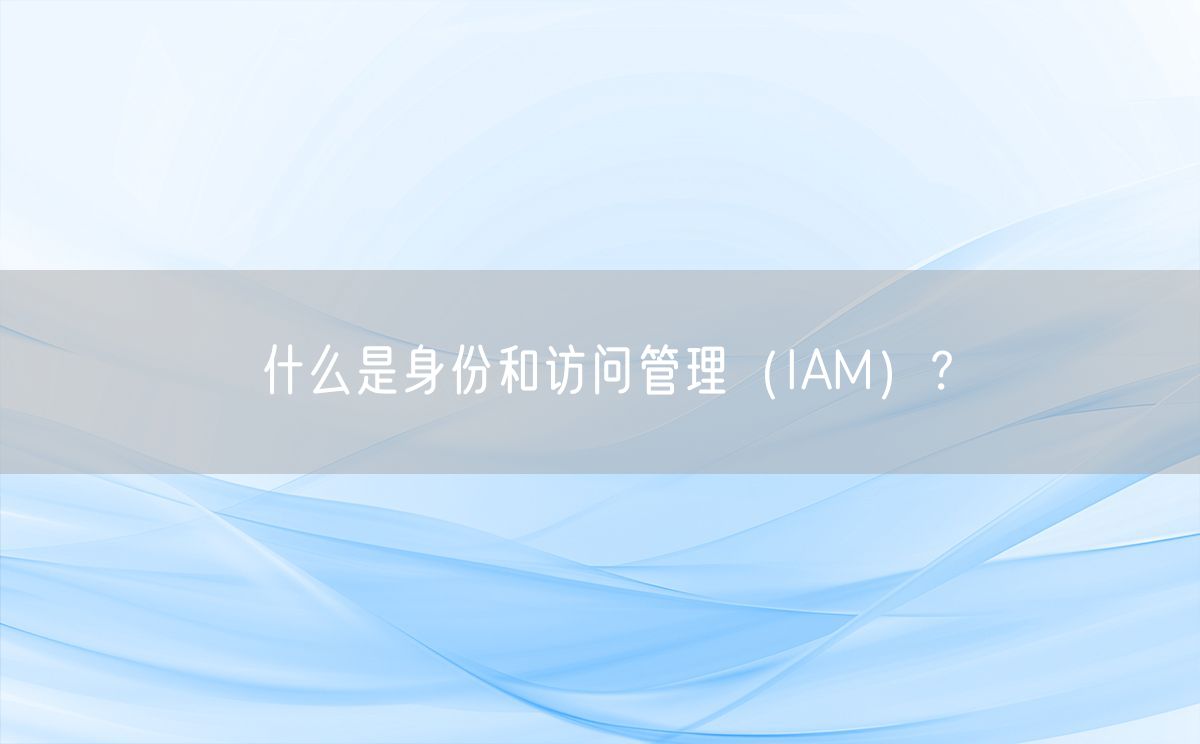 什么是身份和访问管理（IAM）？(图1)